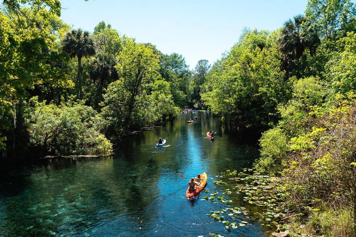 Discover the Timeless Beauty of Silver Springs State Park